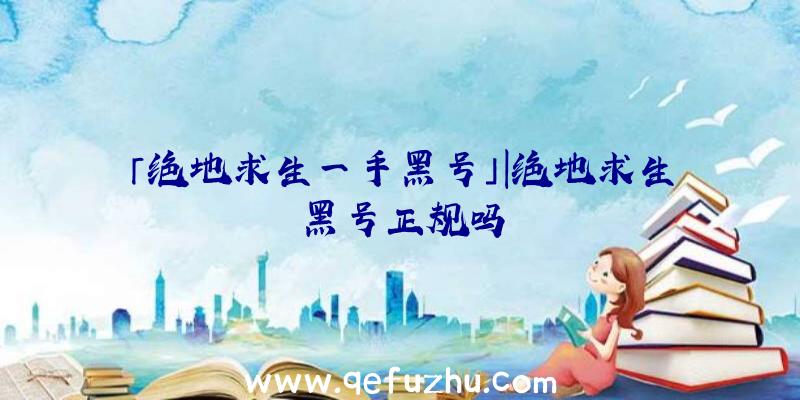 「绝地求生一手黑号」|绝地求生黑号正规吗